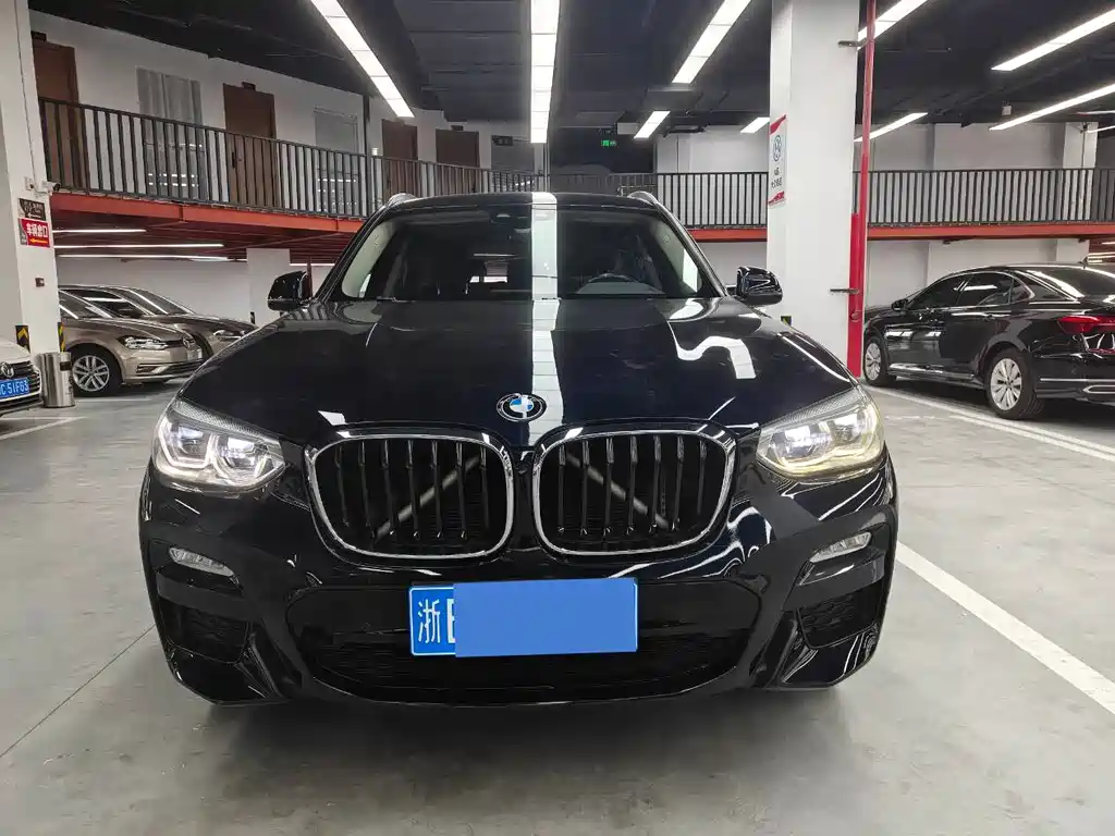BMW X3 — миниатюра 2