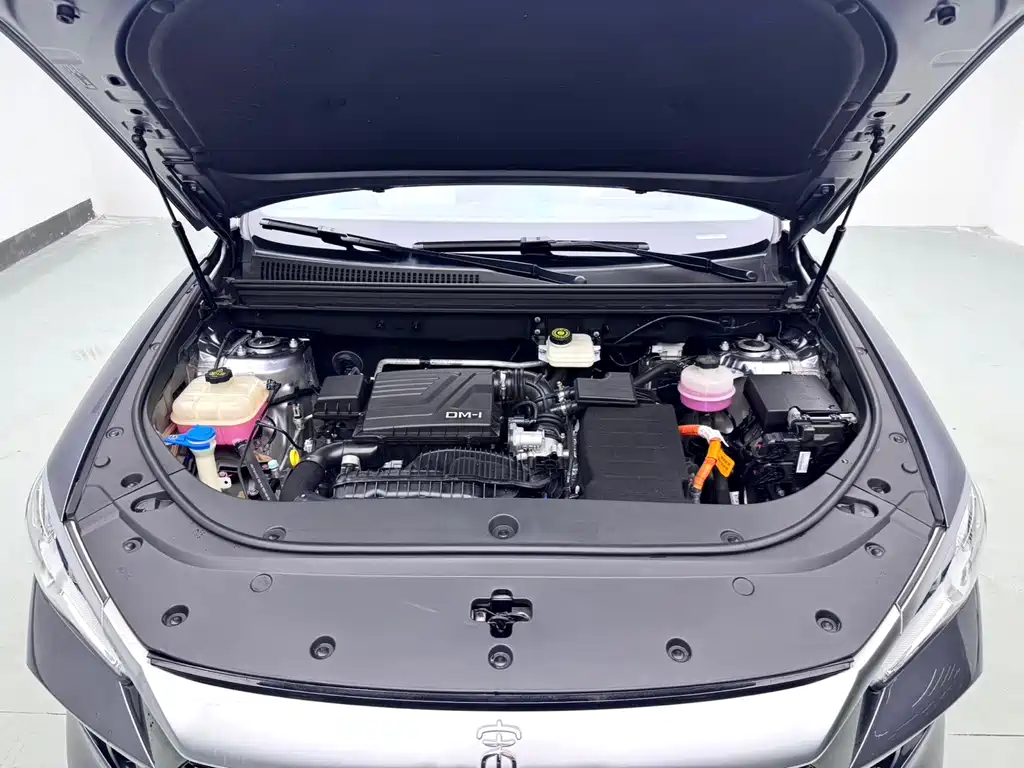 BYD Pro New Energy — миниатюра 10