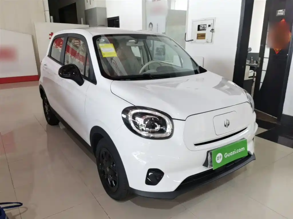 Leapmotor T03 2025 310