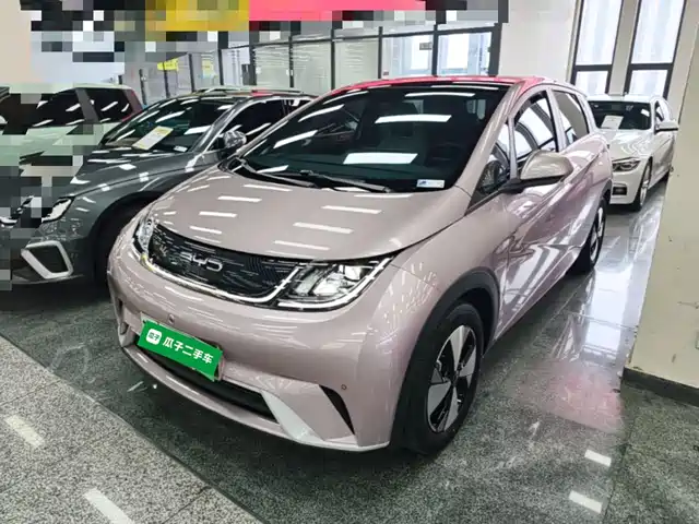 2023 BYD Dolphin