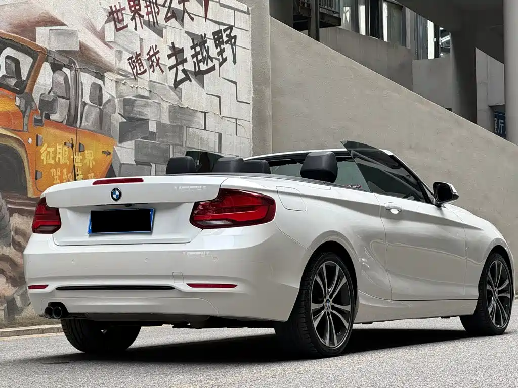 BMW 2 Series 2 2019 225i Sport