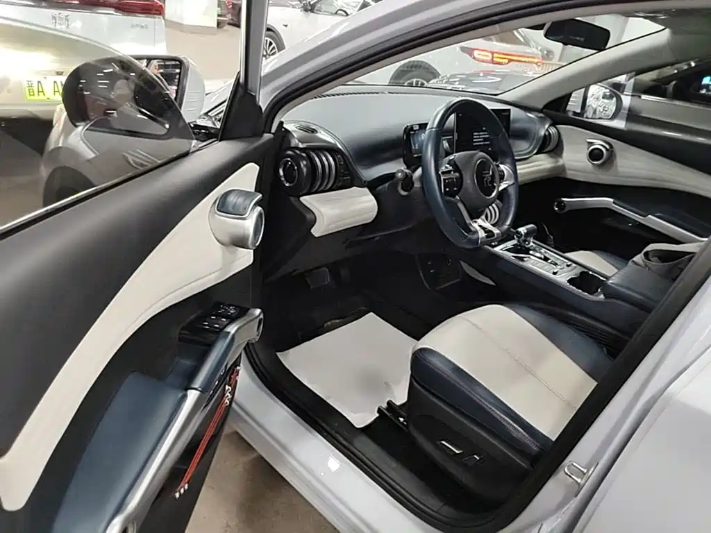 BYD Yuan Plus — миниатюра 16