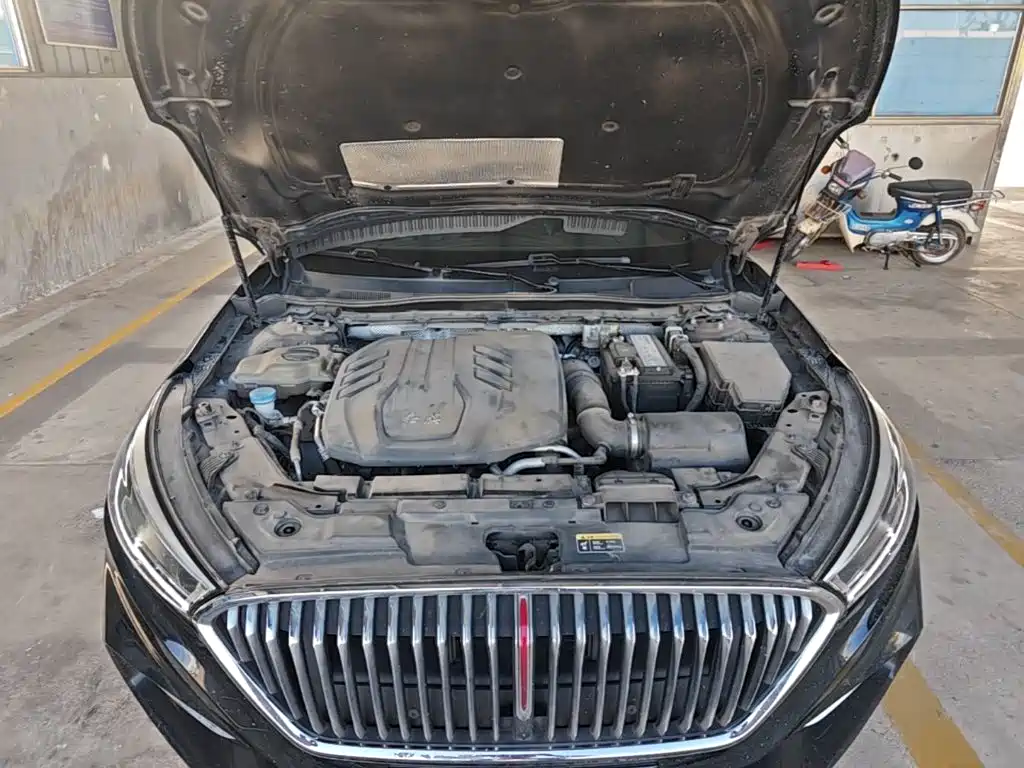 Hongqi Hongqi H5 — миниатюра 20