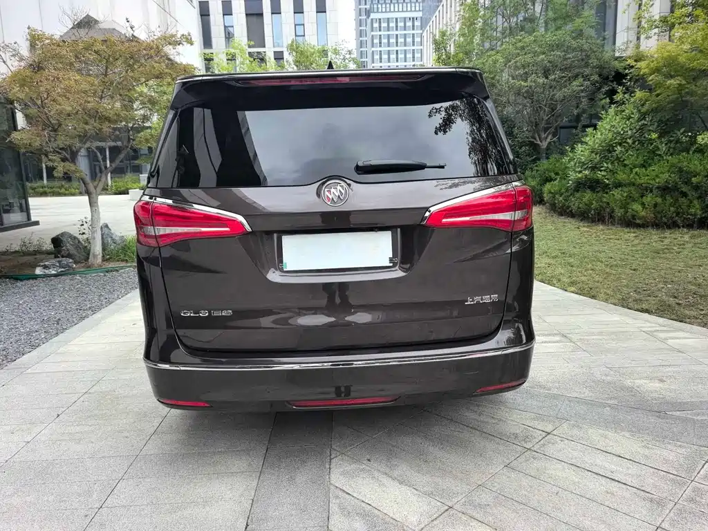 Buick GL8 — миниатюра 10