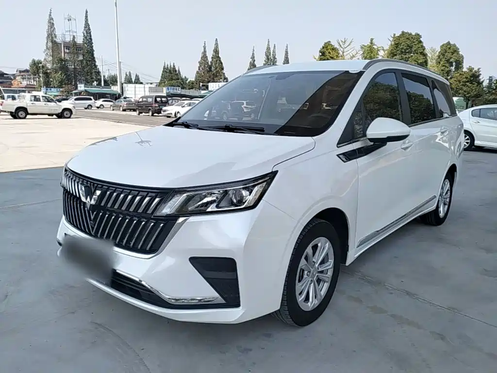 Wuling Jiachen — миниатюра 2