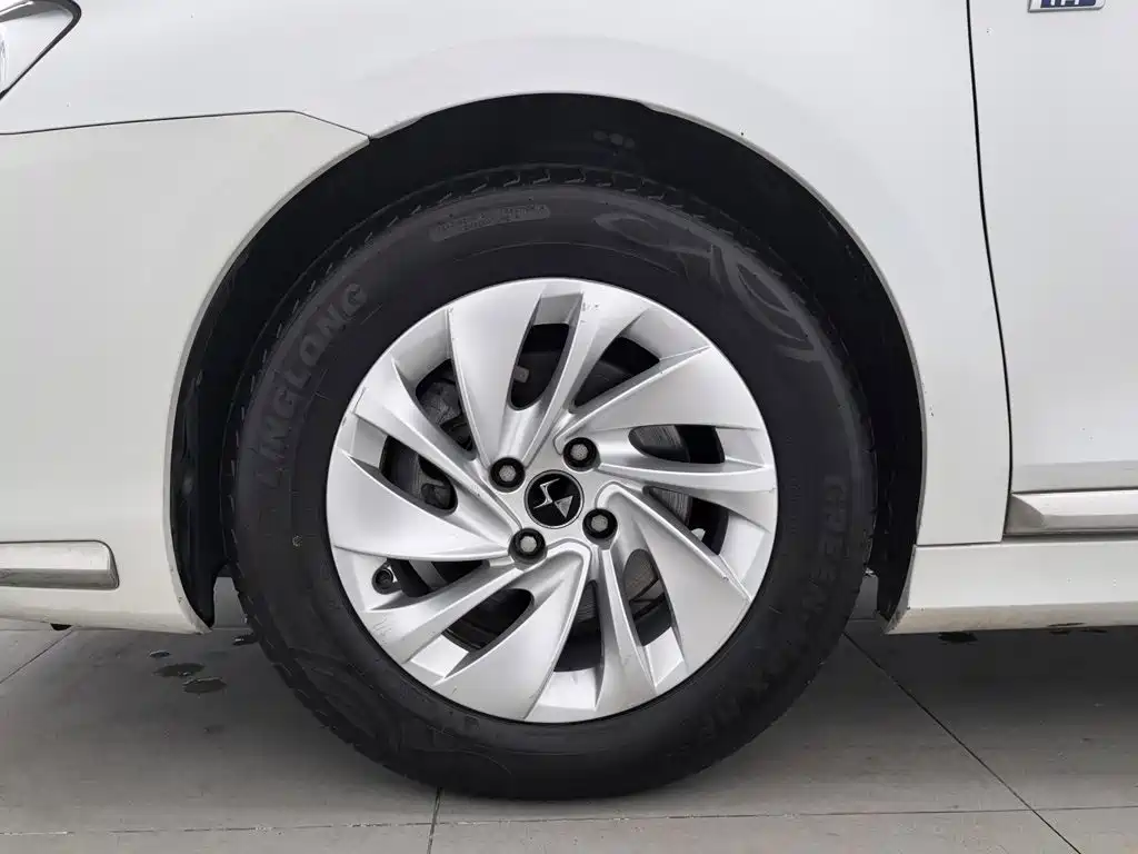 DS DS 4S — миниатюра 17