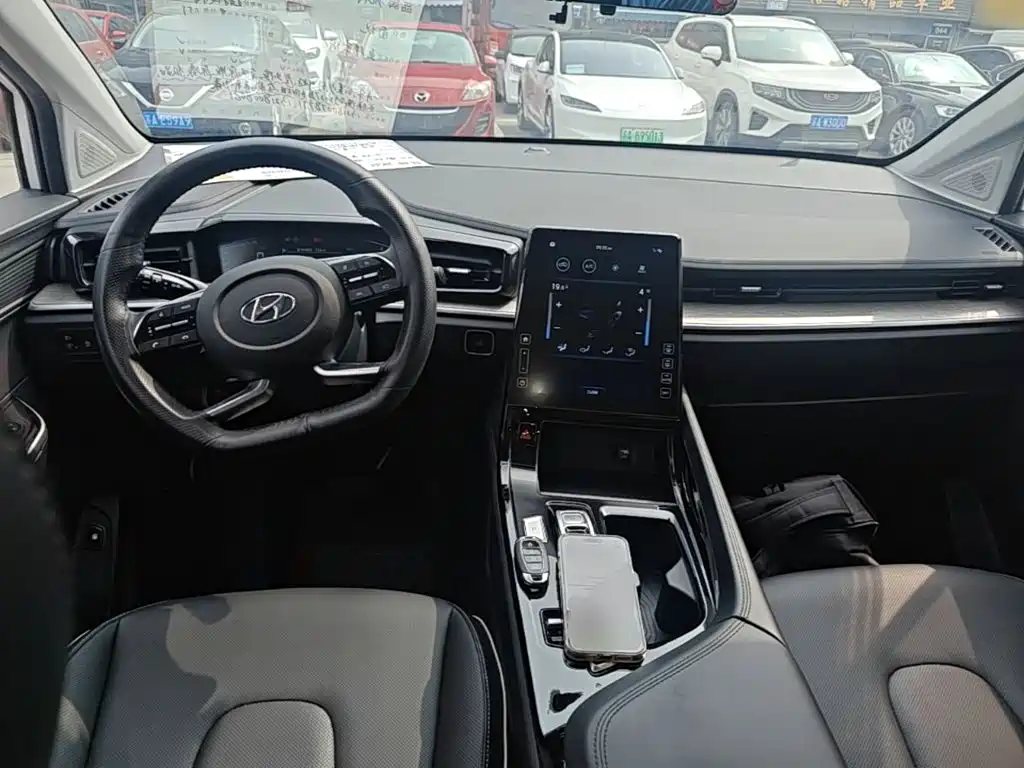 Hyundai Custo — миниатюра 10