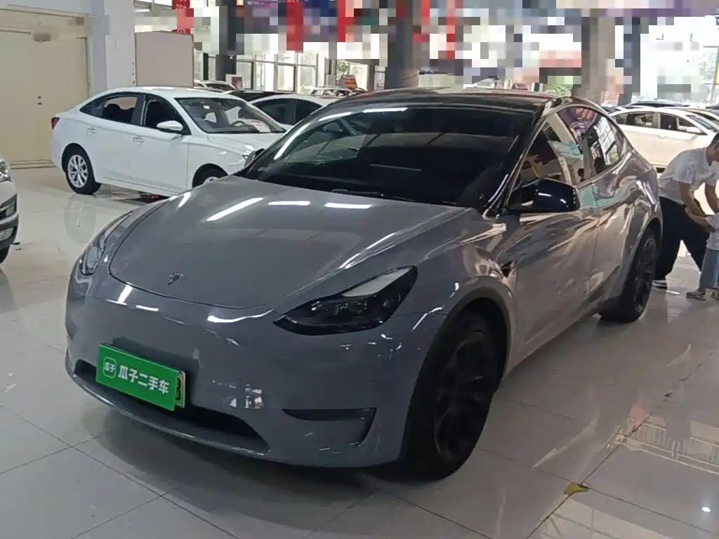 Tesla Model Y — миниатюра 2