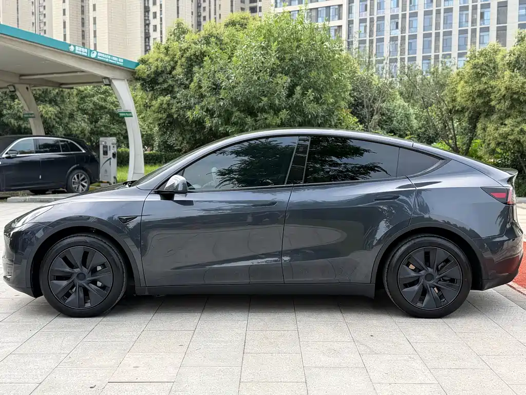 Tesla Model Y — миниатюра 3