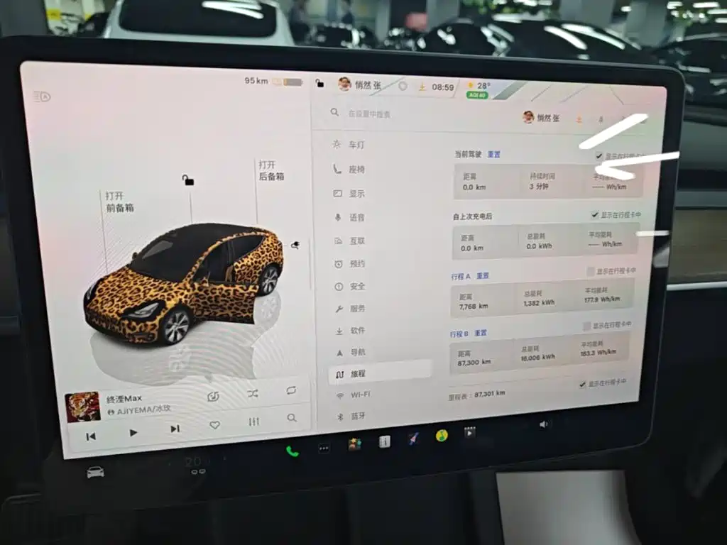 Tesla Model Y — миниатюра 12