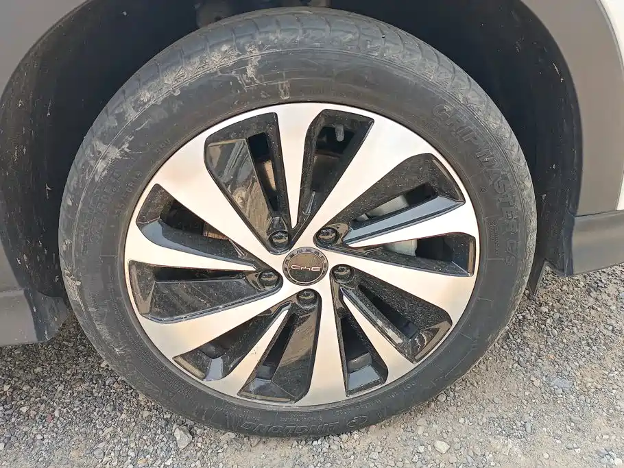BYD PLUS New Energy — миниатюра 6