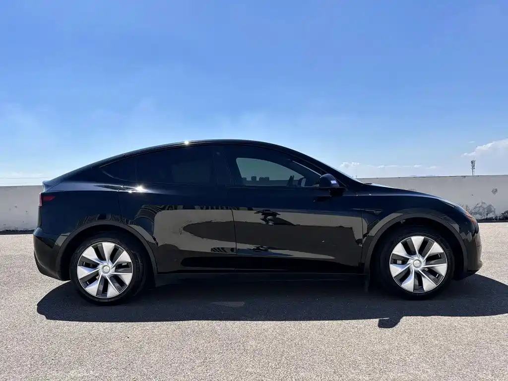 Tesla Model Y — миниатюра 4