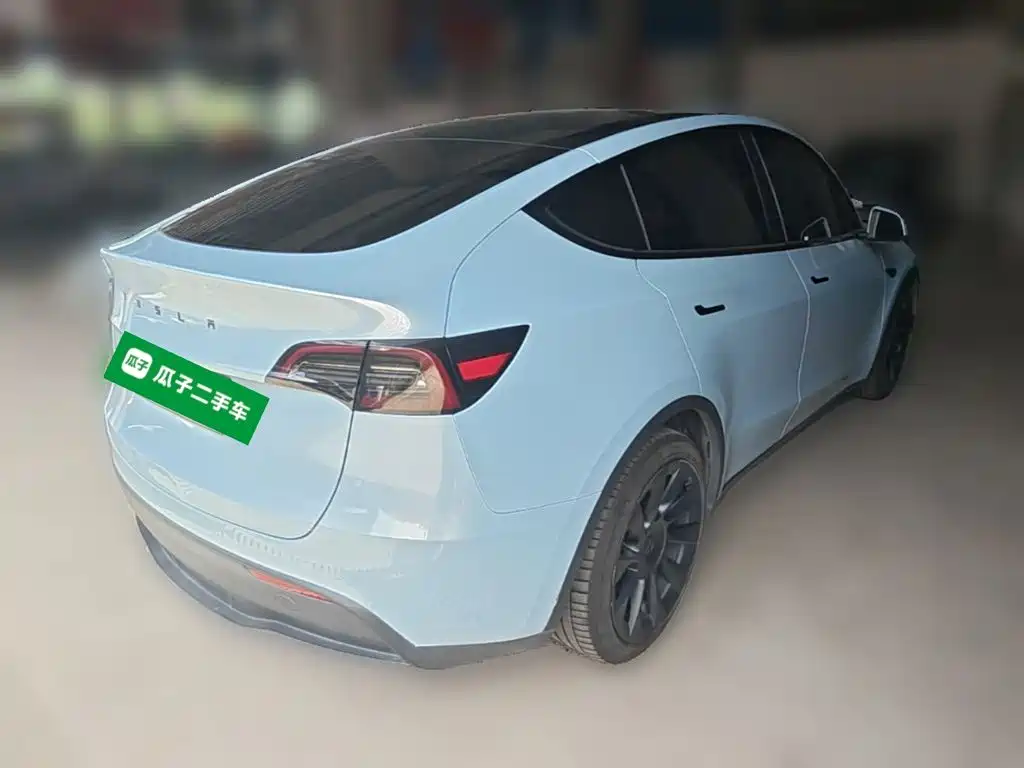 Tesla Model Y — миниатюра 10