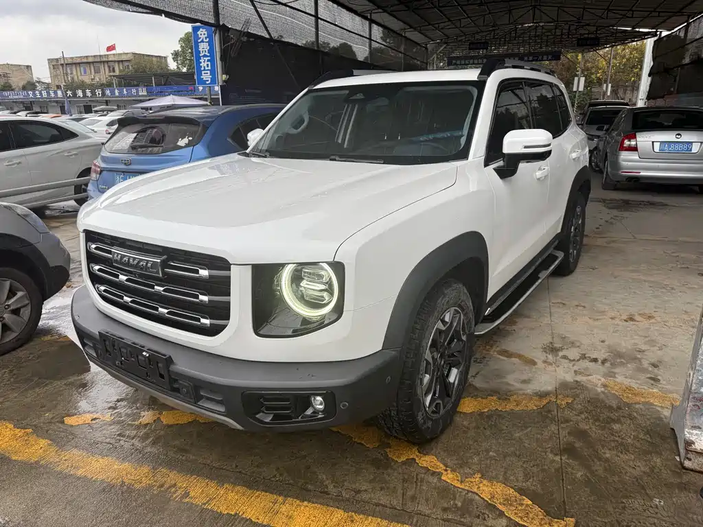 HAVAL BIG DOG