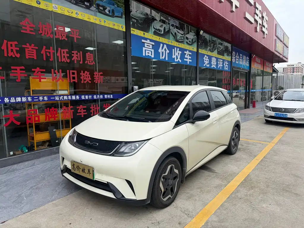 2023 BYD Dolphin - zdjęcie 1 z 9