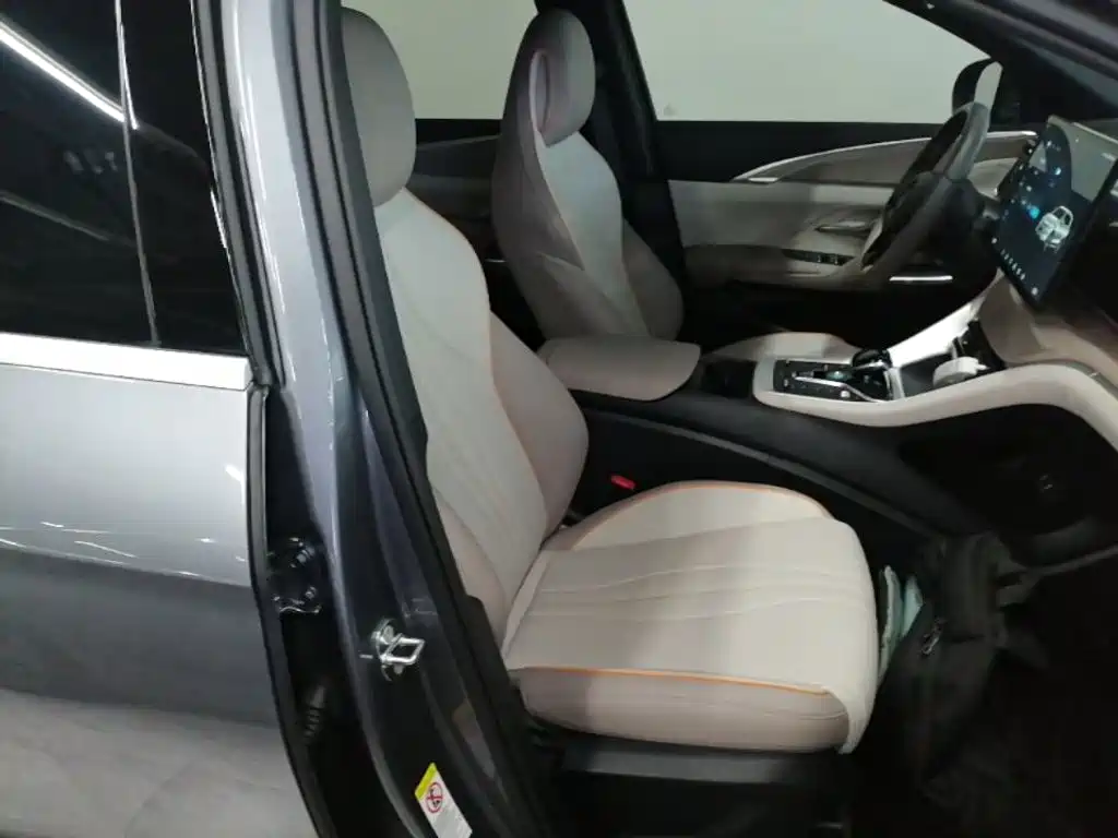 BYD Pro New Energy — миниатюра 25