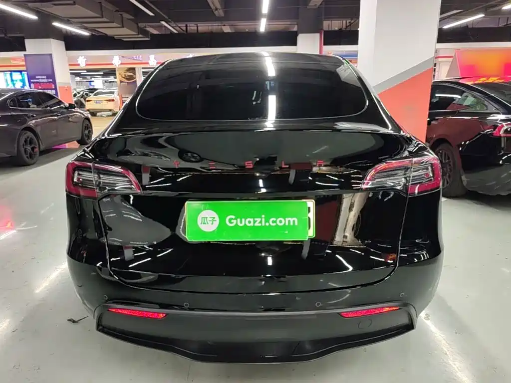 Tesla Model Y — миниатюра 6
