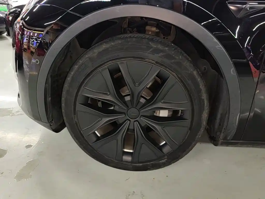 Tesla Model Y — миниатюра 23