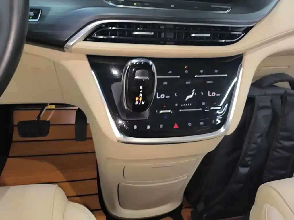 Buick GL8 — миниатюра 14