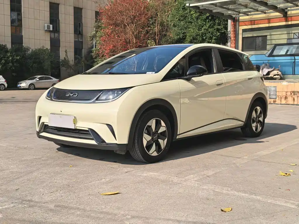 2024 BYD Dolphin - zdjęcie 1 z 21