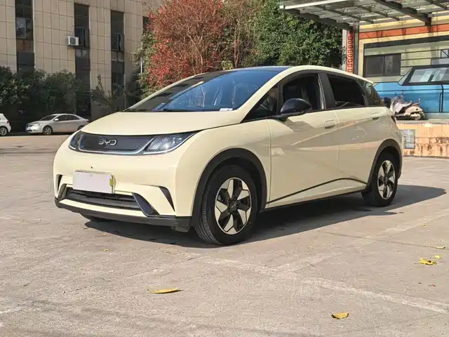 2024 BYD Dolphin