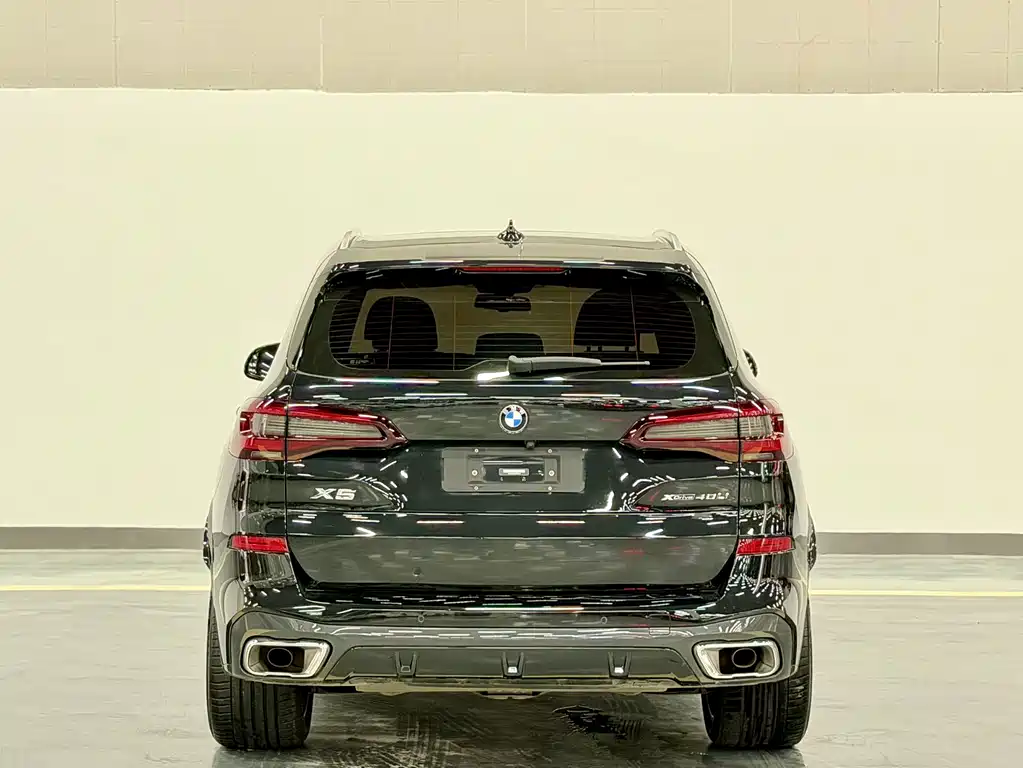 BMW X5 — миниатюра 12