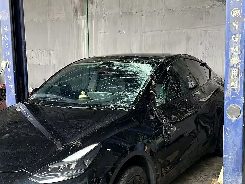 Tesla Model Y — миниатюра 9