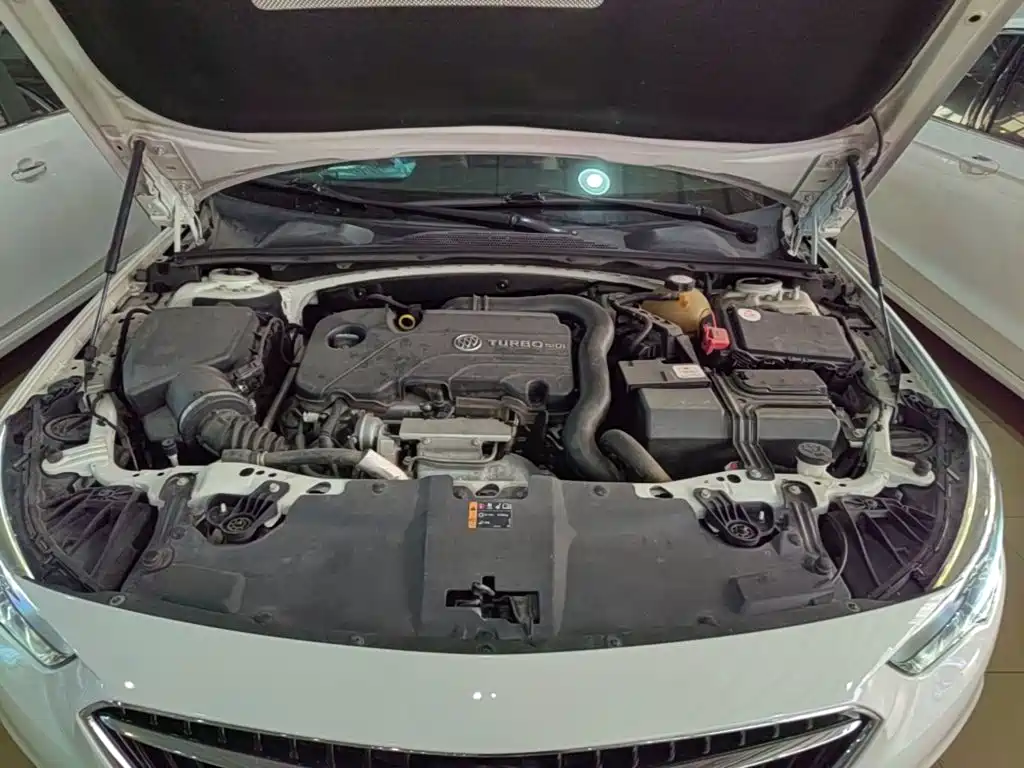 Buick Regal — миниатюра 20