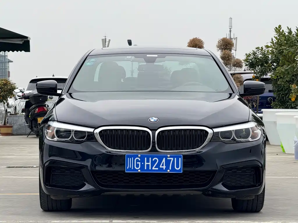 BMW 5 SERIES