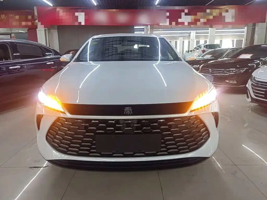 BYD Qin Plus PLUS 2025 DM-i Smart Drive 55KM Lead