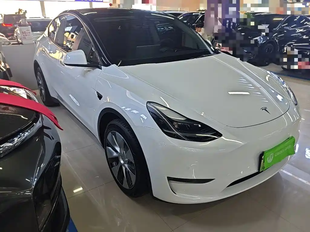 Tesla Model Y — миниатюра 4
