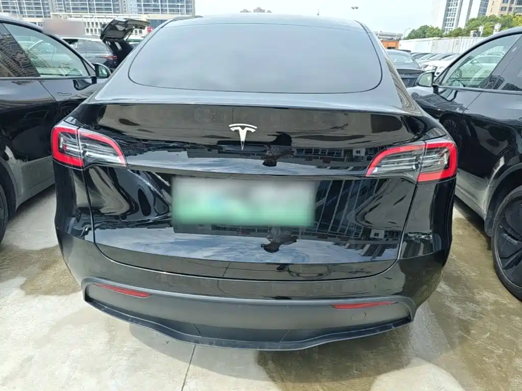 Tesla Model Y — миниатюра 6
