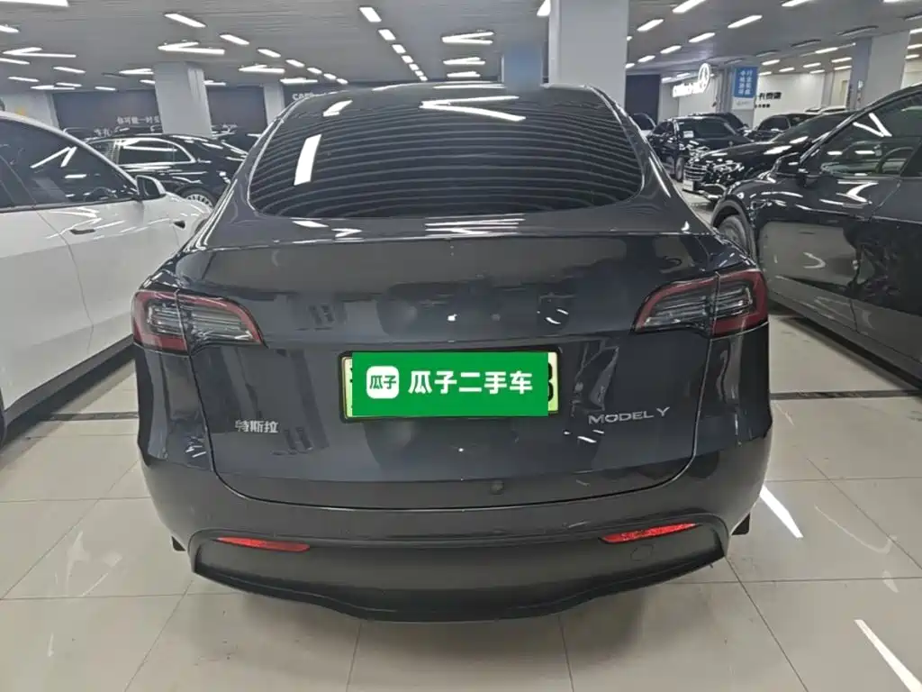 Tesla Model Y — миниатюра 6