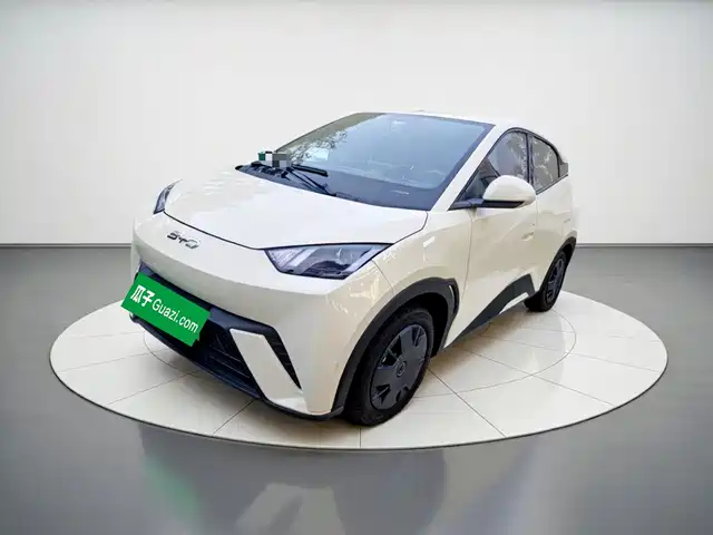 2025 BYD Seagull