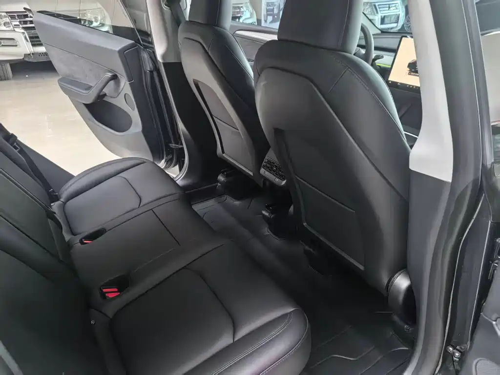 Tesla Model Y — миниатюра 11