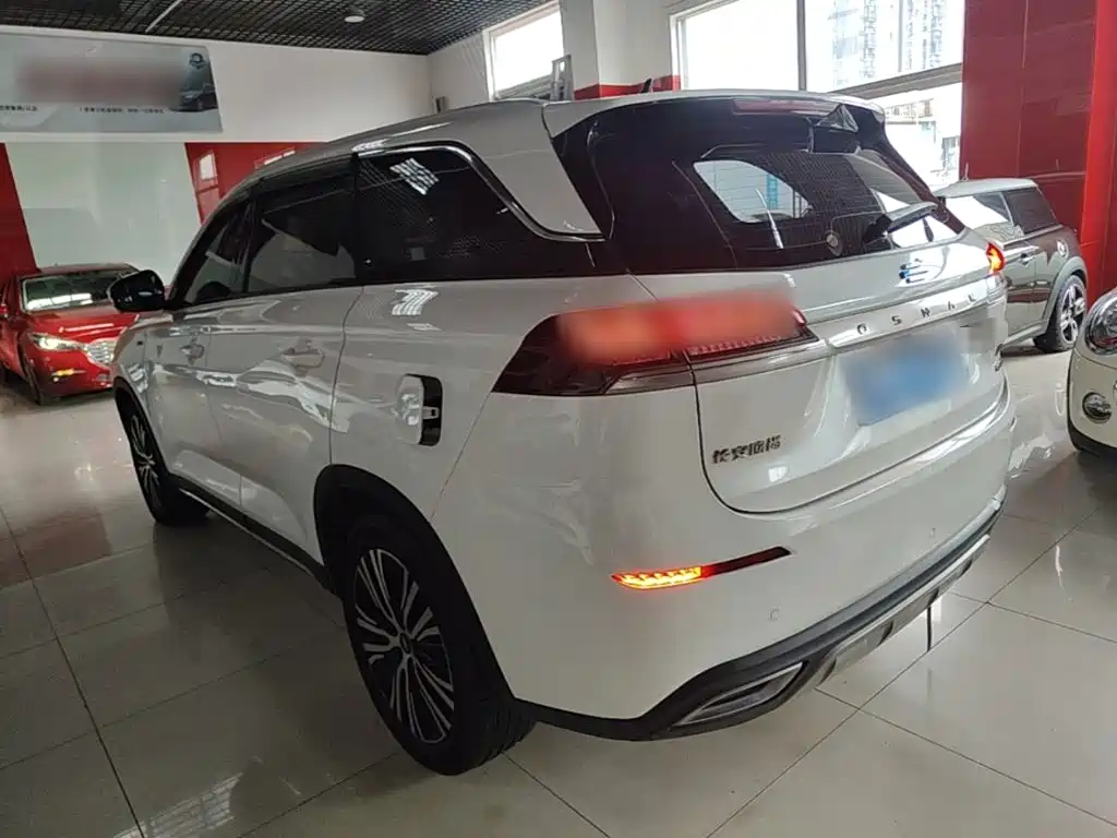 Oshan Oushang X7 — миниатюра 5
