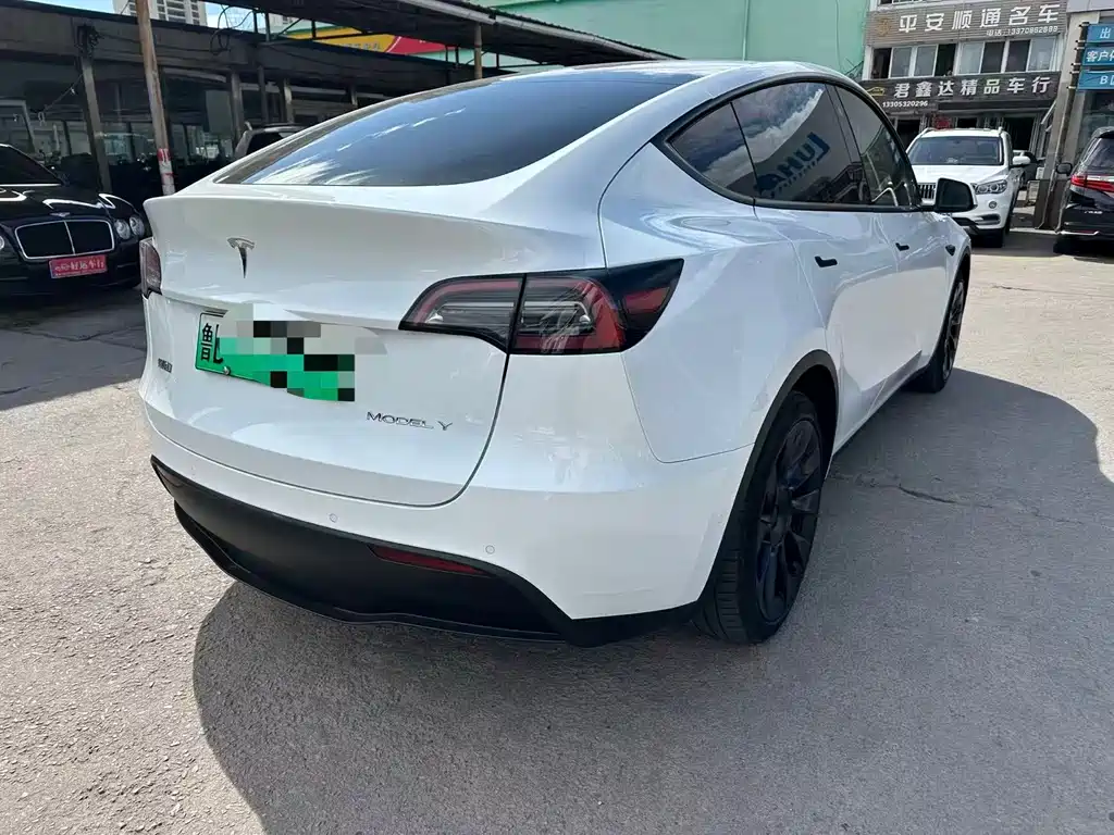 Tesla Model Y — миниатюра 8