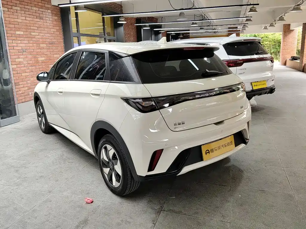 BYD Dolphin 2025 420km Freedom