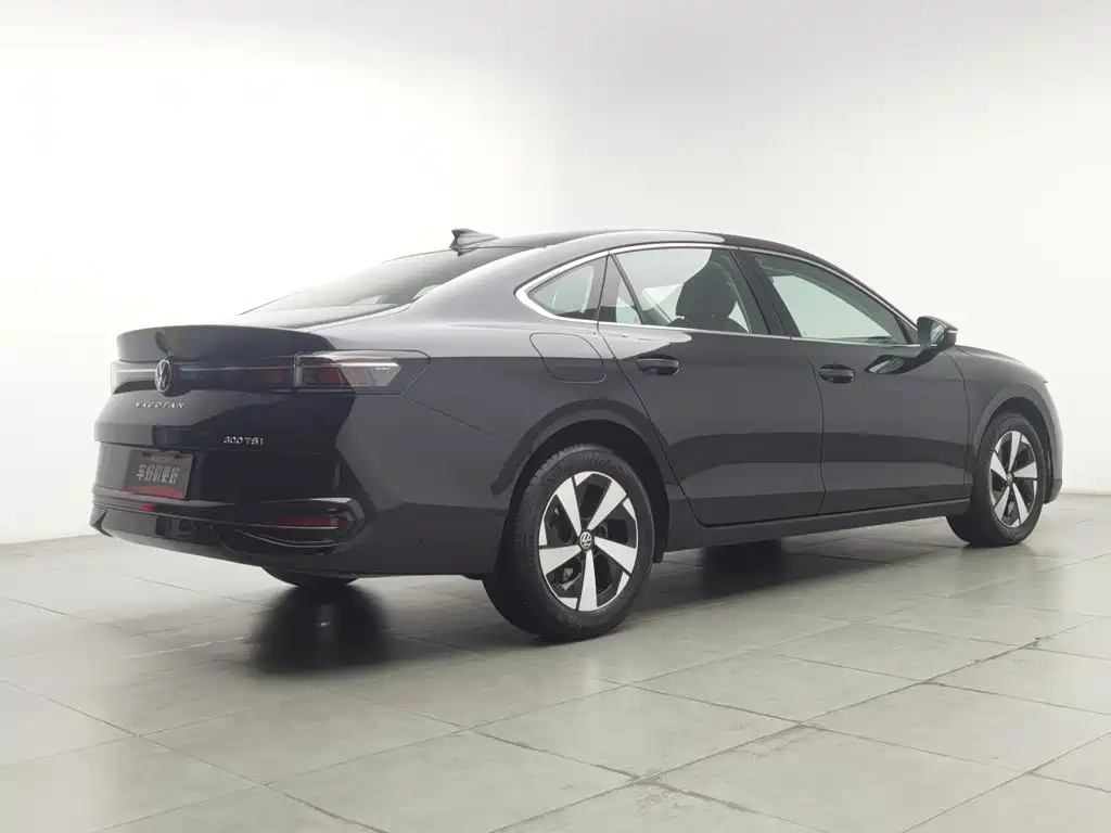 Volkswagen Magotan — миниатюра 2