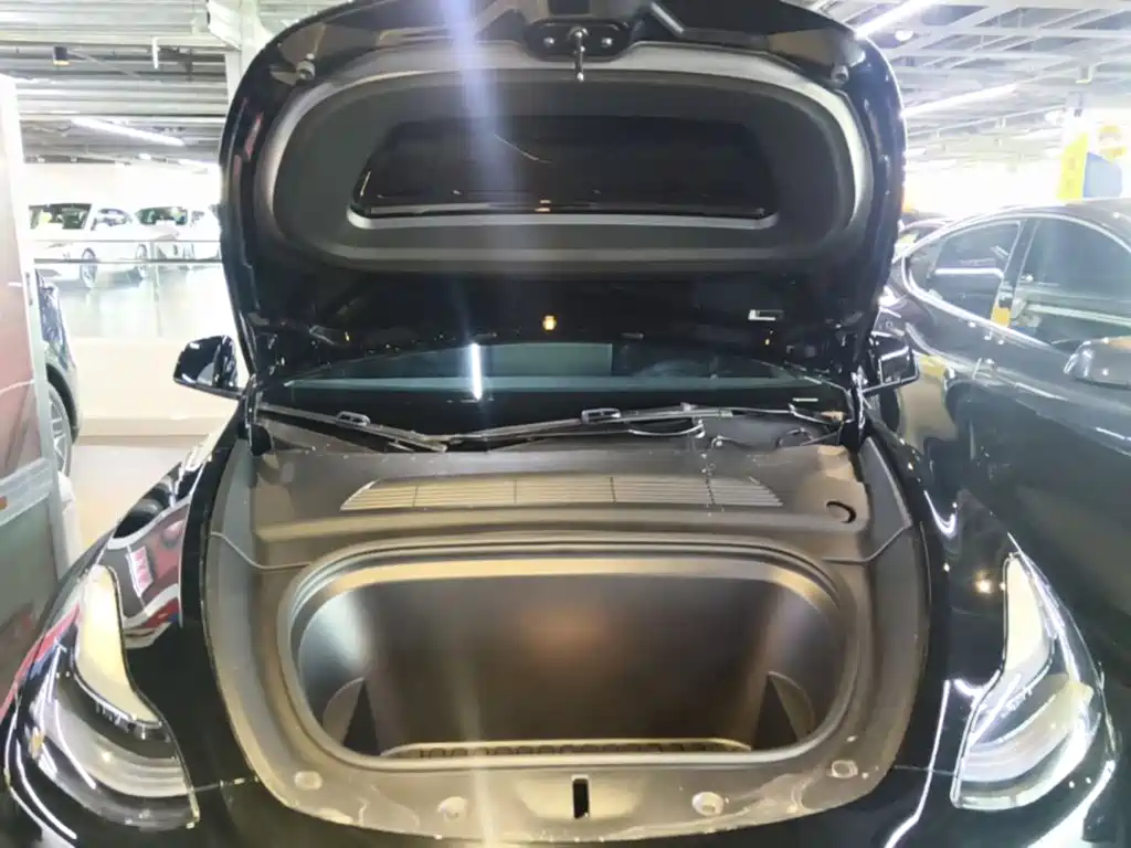 Tesla Model Y — миниатюра 20