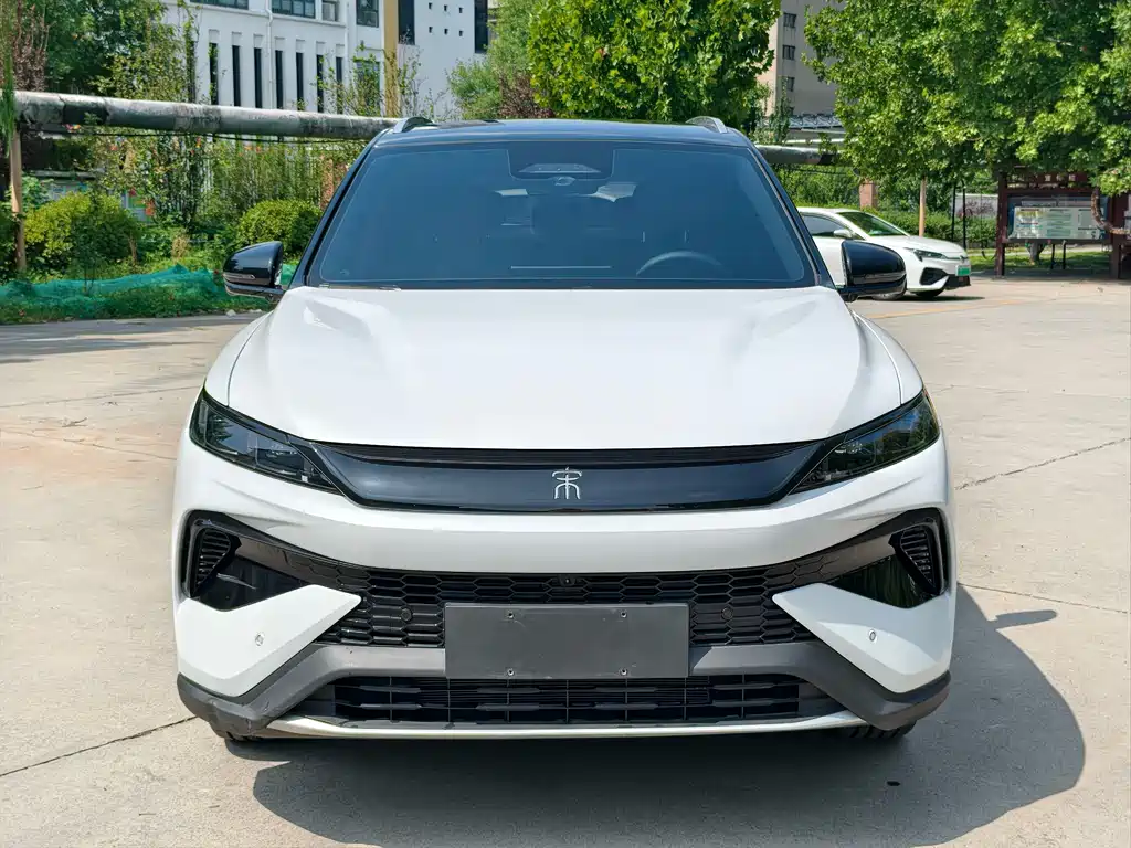 BYD Pro New Energy — миниатюра 2