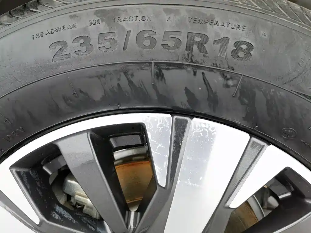 Haval Big Dog — миниатюра 24