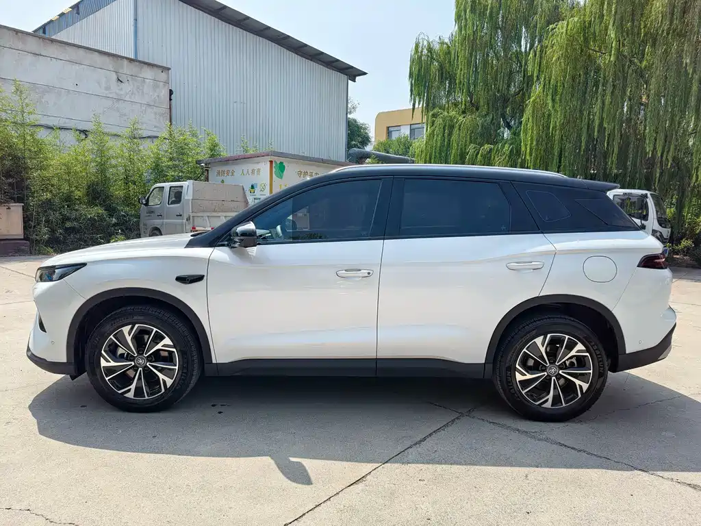 BYD Pro New Energy — миниатюра 5