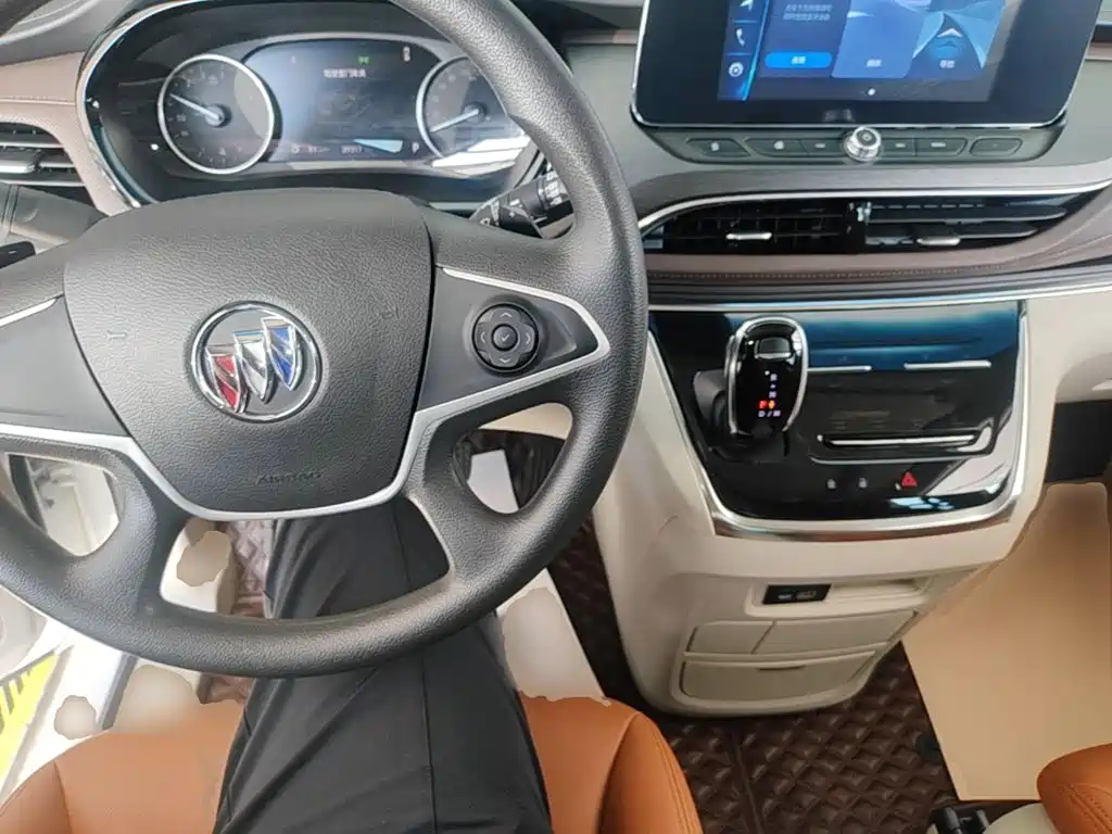 Buick GL8 — миниатюра 10