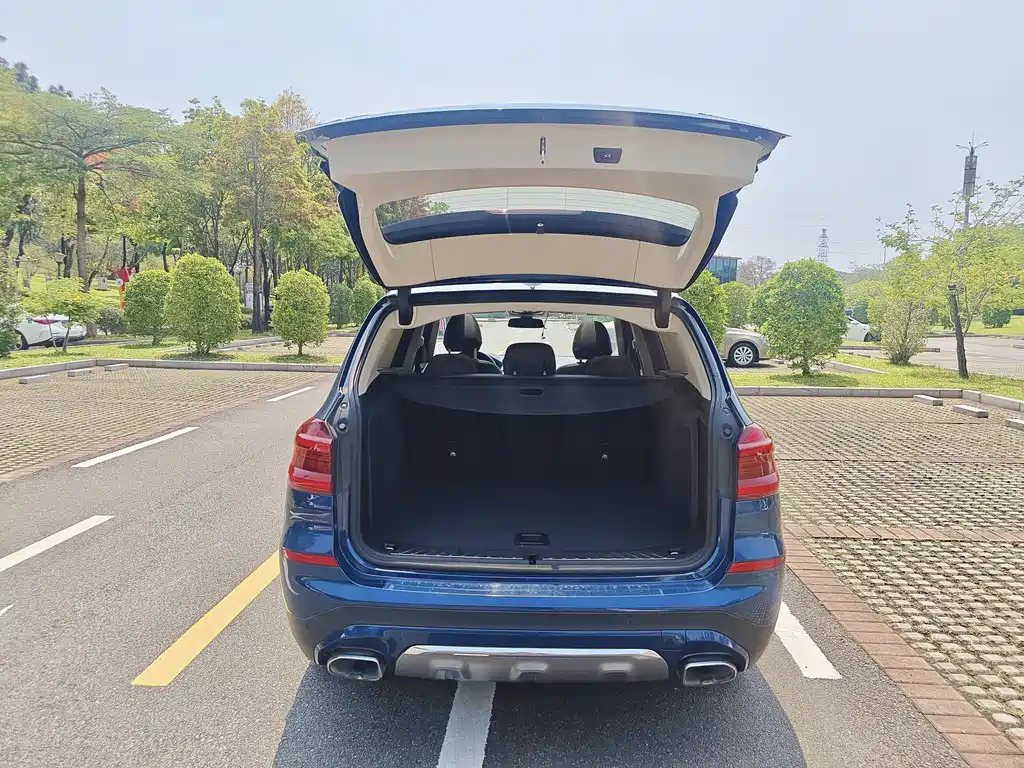 BMW X3 2020 xDrive25i Luxury