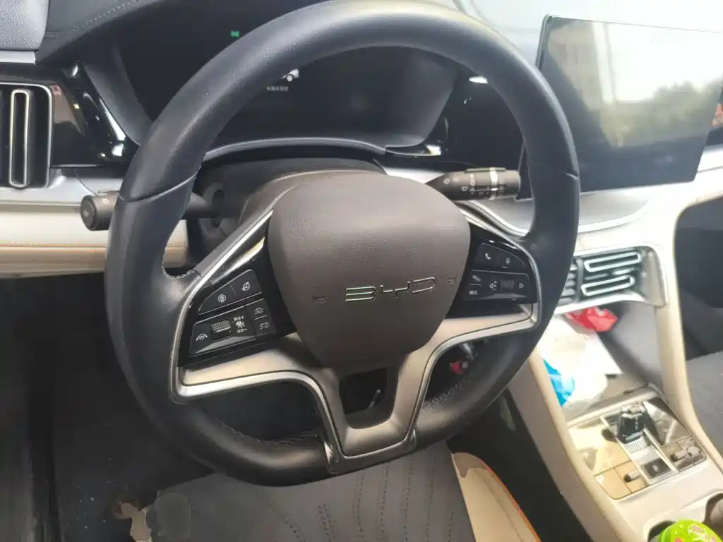 BYD PLUS New Energy — миниатюра 6