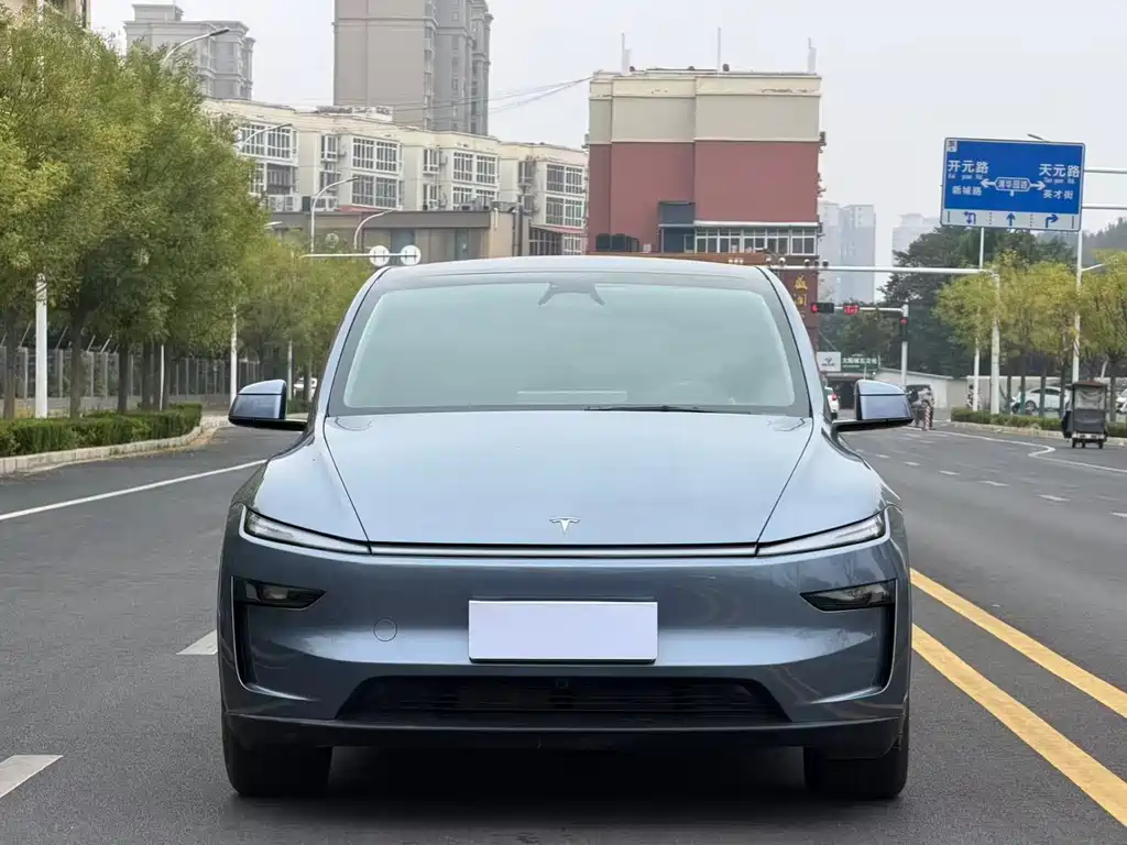 Tesla Model Y — миниатюра 2