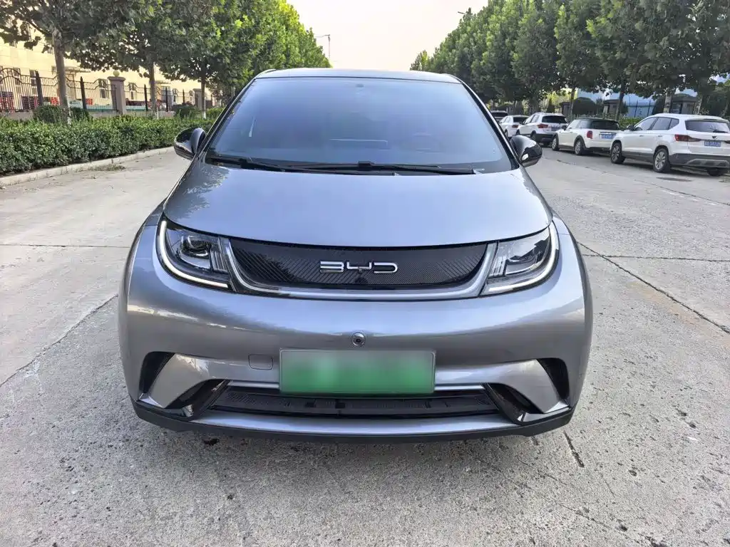 BYD Dolphin — миниатюра 7