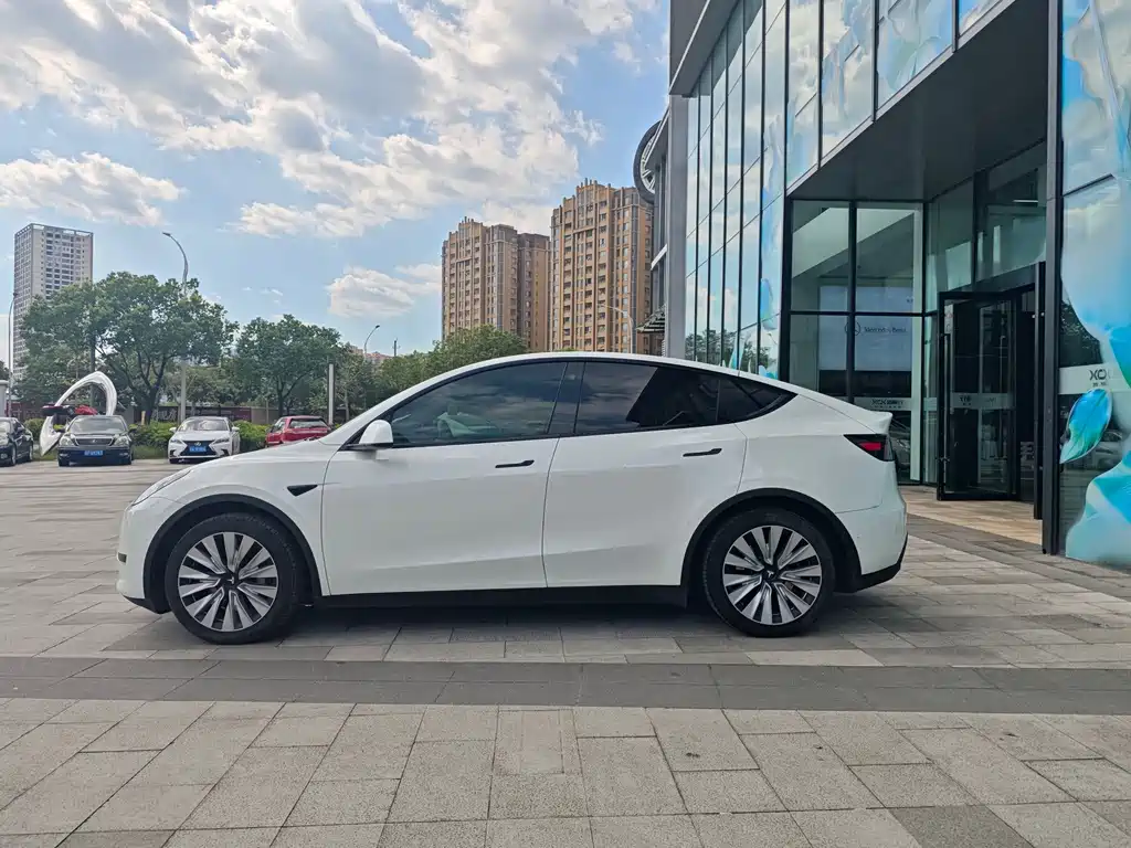 Tesla Model Y — миниатюра 7
