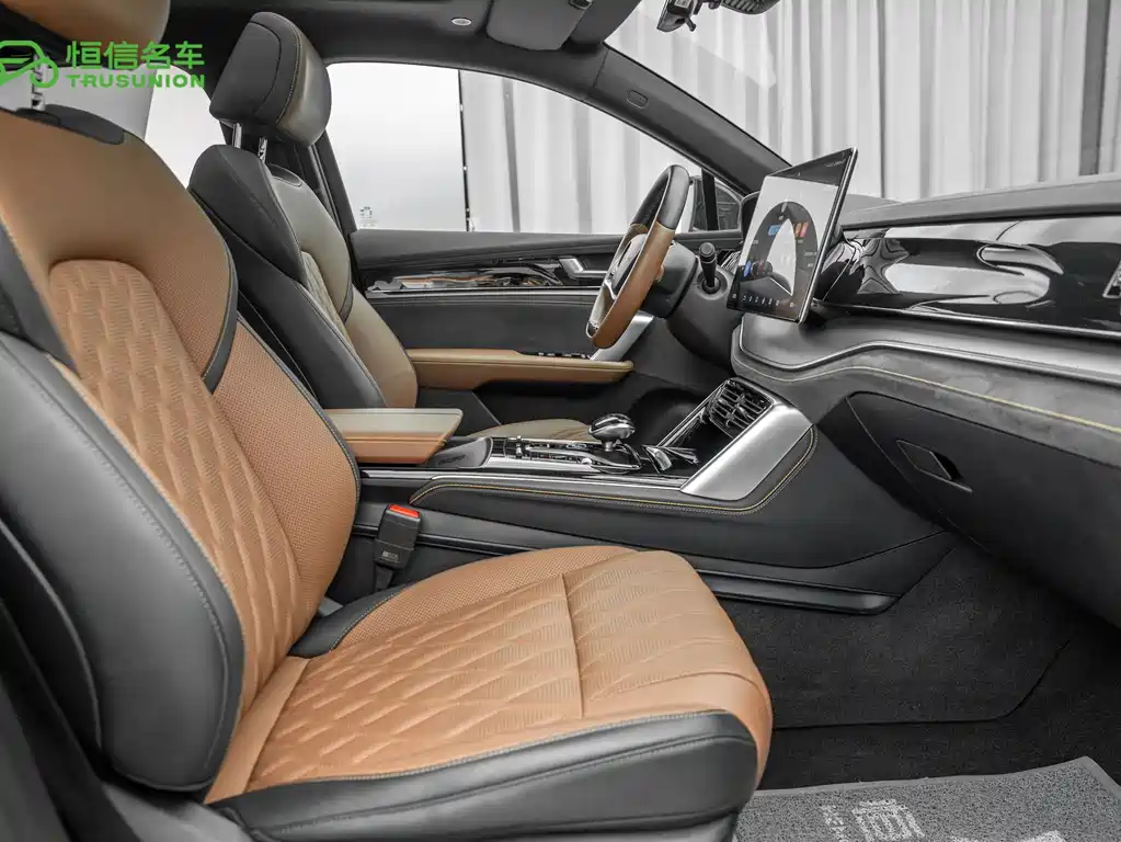 BYD Tang New Energy — миниатюра 15